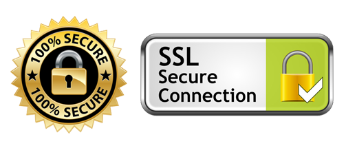 SSL secure seal