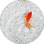 B M Avatar
